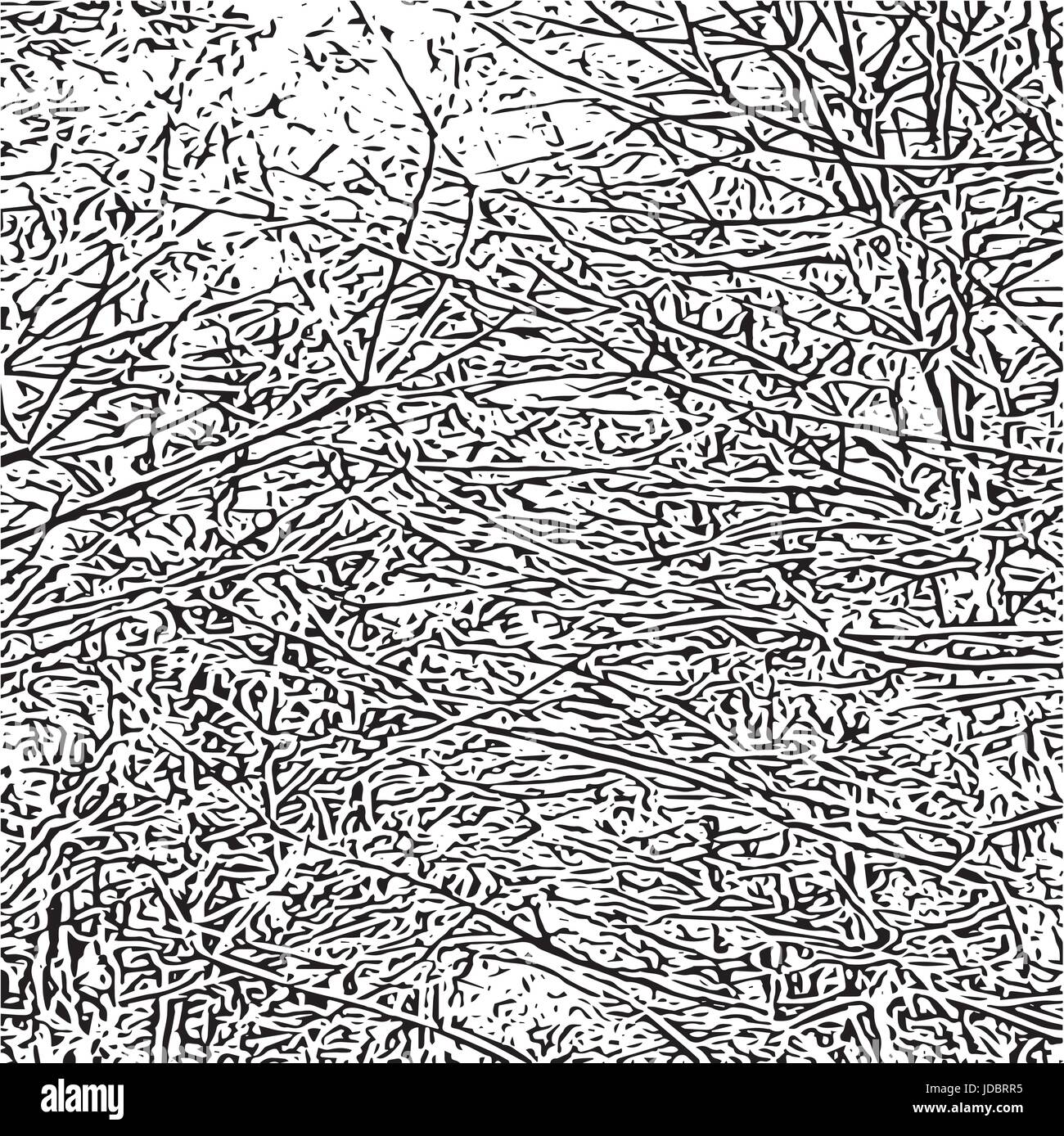 Vector grunge texture Illustrazione Vettoriale