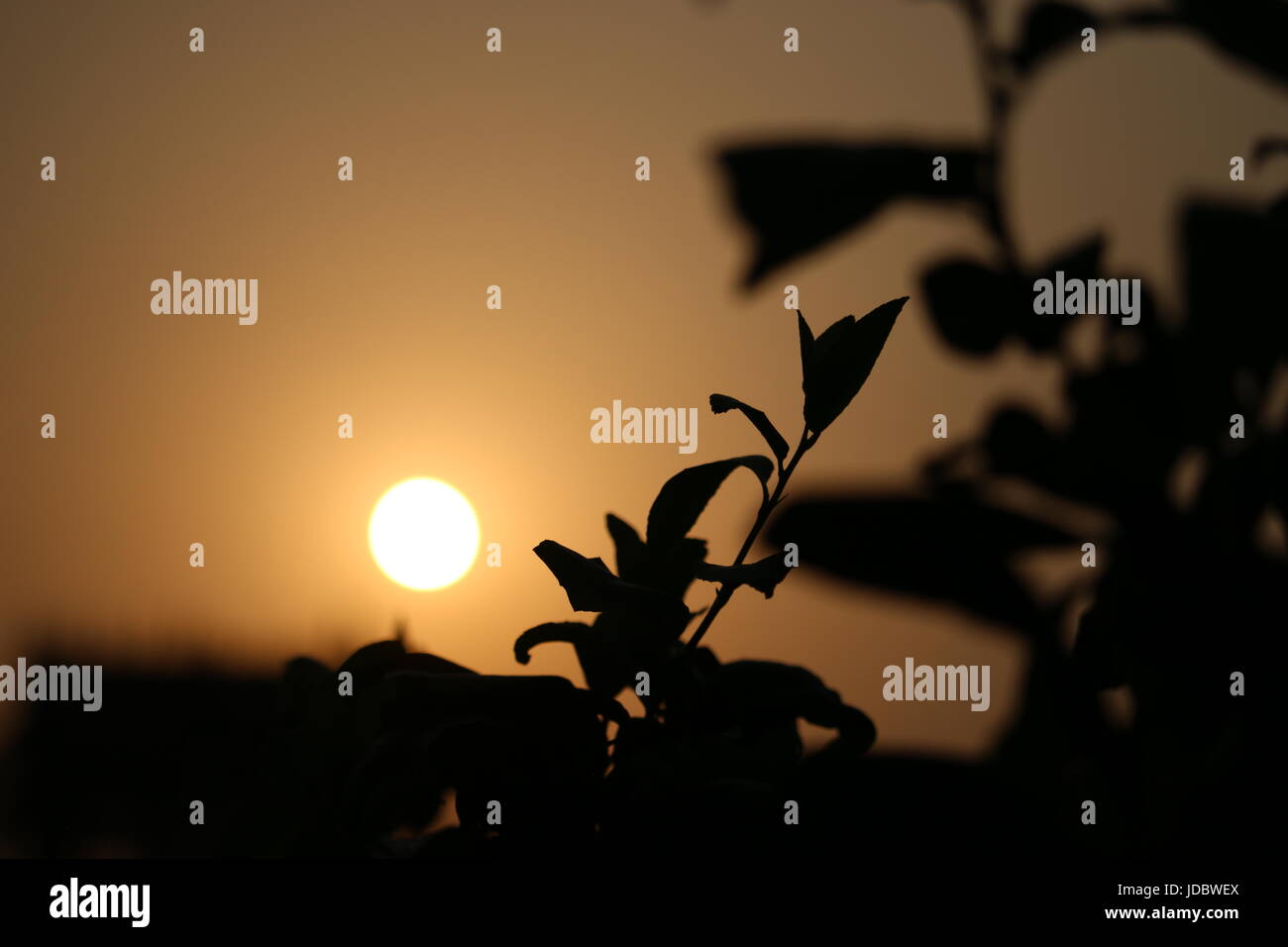 Sun baci l'orizzonte Foto Stock