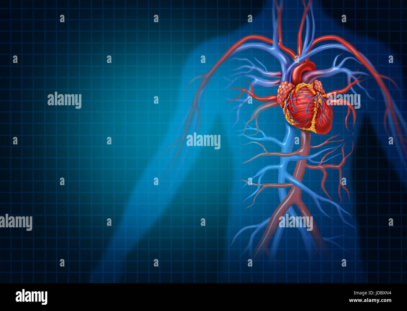 Cardiologia e malattie cardiovascolari cuore nozione come un essere umano la circolazione del sangue salute medica simbolo rappresentante un sano cuore circolatorio organo. Foto Stock