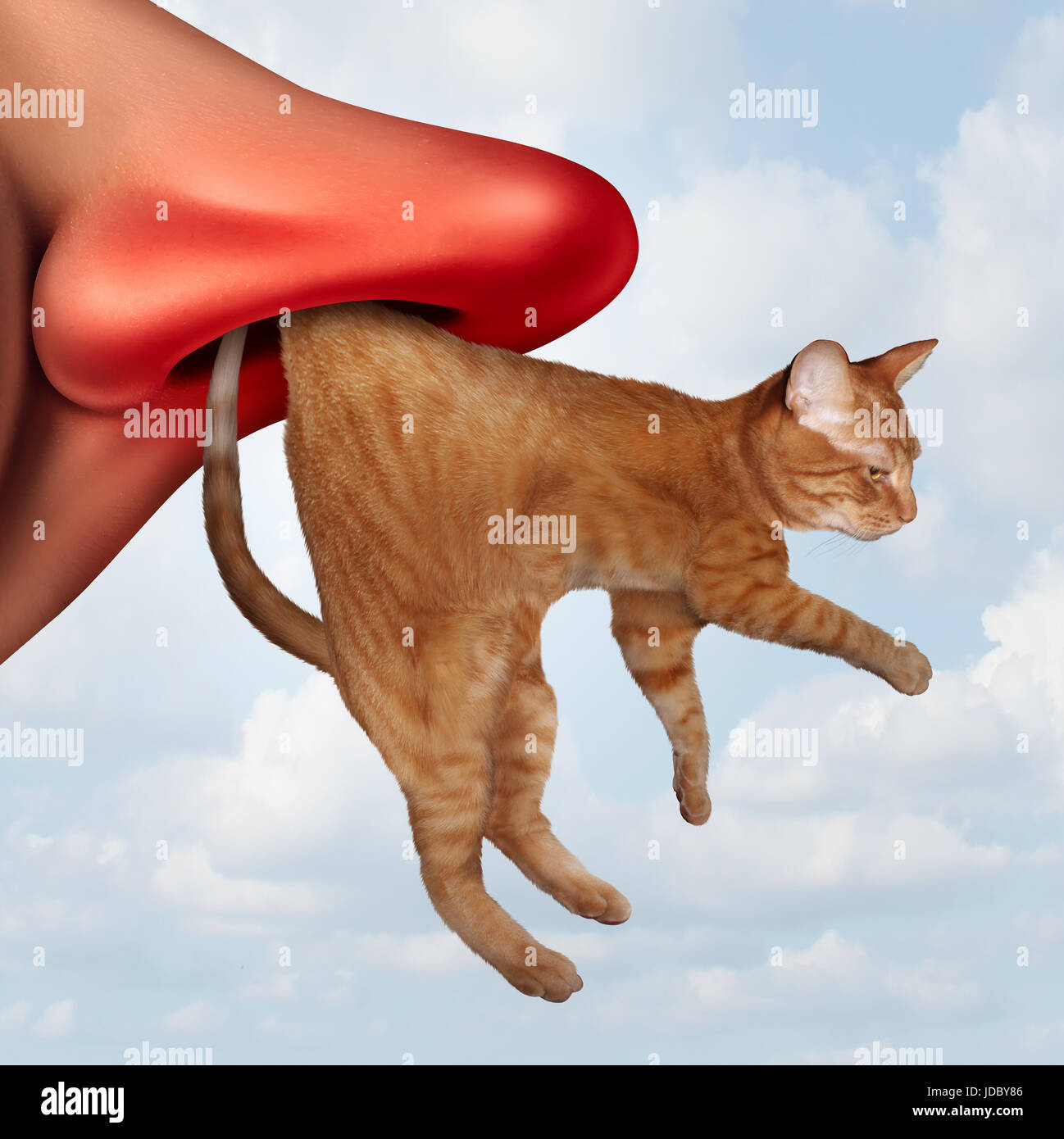 Allergia al gatto e gattino o pet allergie nozione come un irritato umano  che cola naso respirazione in un felino con forfora come un allergene  animale della malattia Foto stock - Alamy