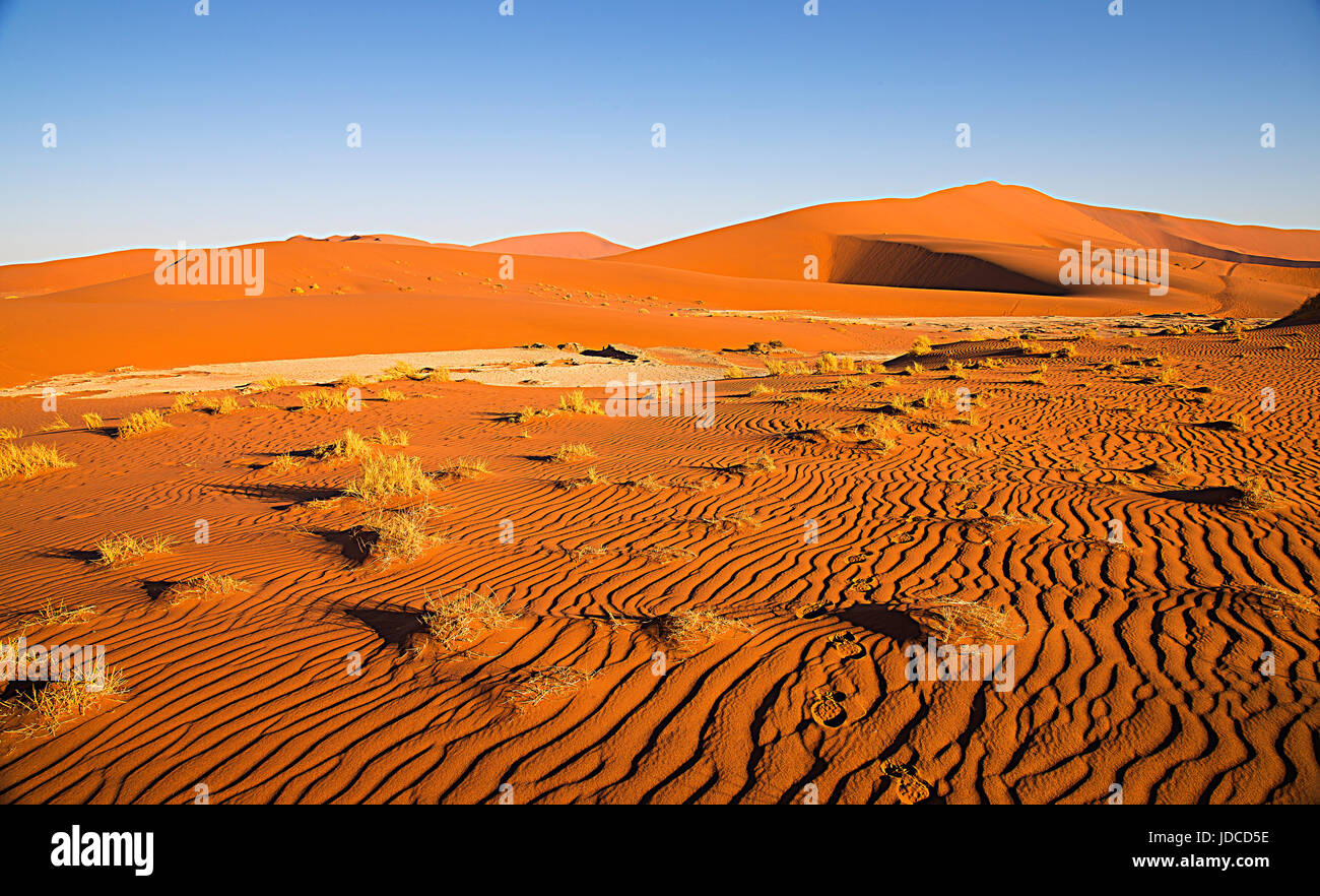 Paesaggio di trama ondulata deserto di sabbia rossa dune di Sossusvlei Namibia Foto Stock