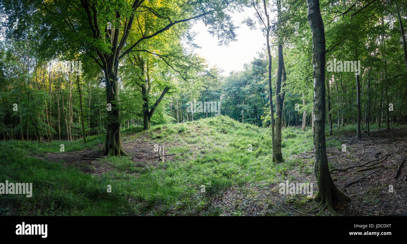 Waltham all età del Bronzo barrow cimitero in South Downs National Park, West Sussex, Regno Unito Foto Stock