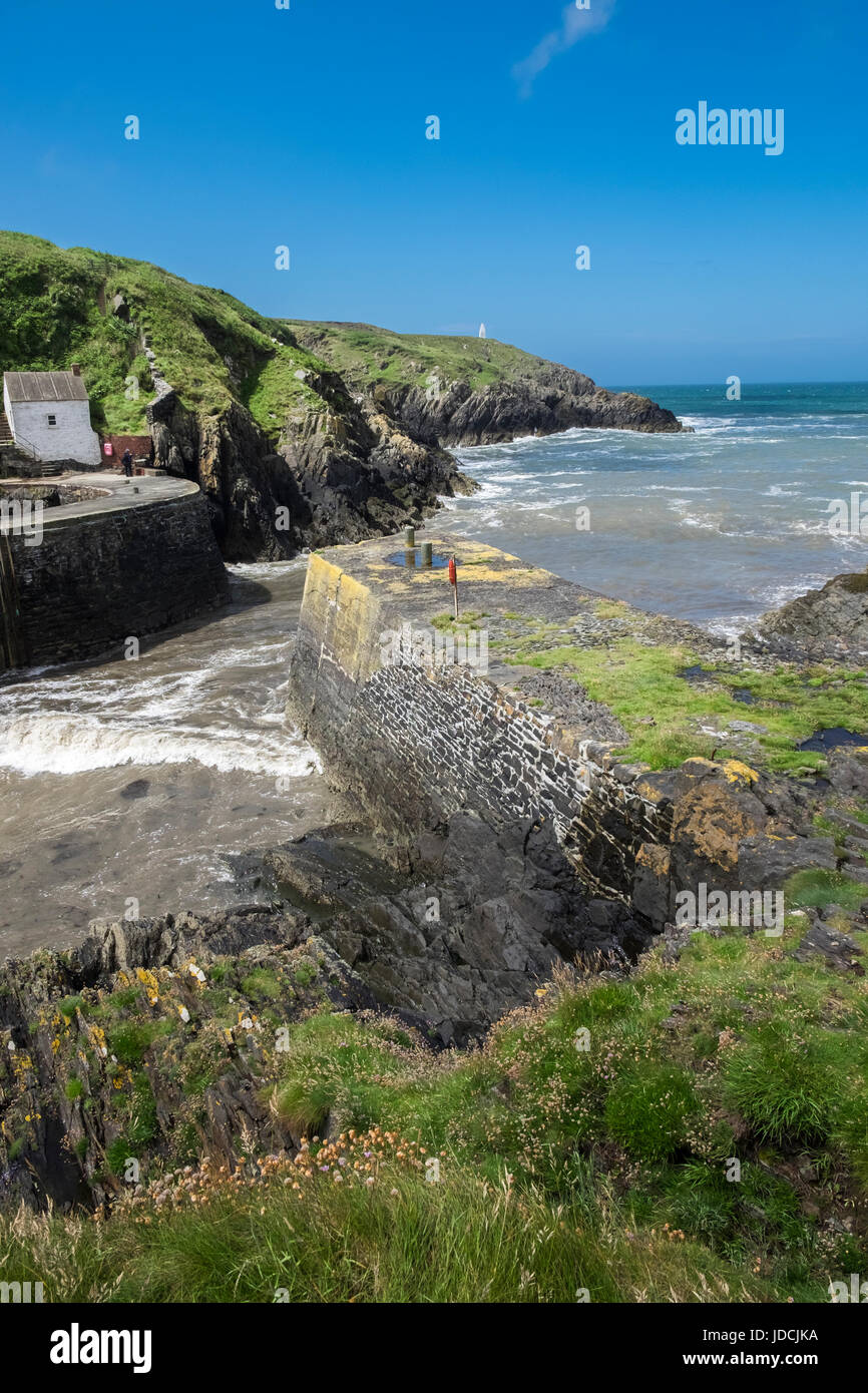 Porthgain zona porto in estate Il Pembrokeshire Coast National Park, Wales, Regno Unito Foto Stock