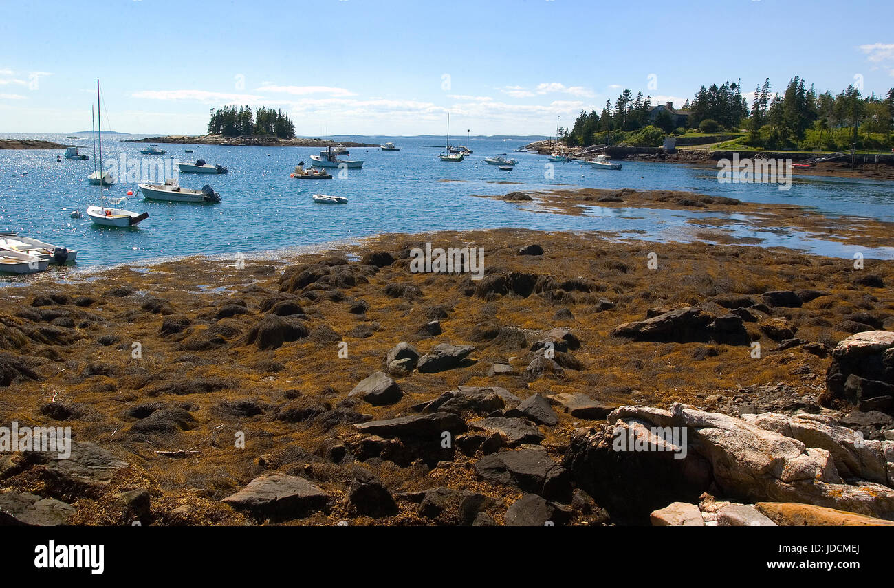 Bassa marea a storico Cape Newagen, Southport, Maine, Stati Uniti d'America Foto Stock