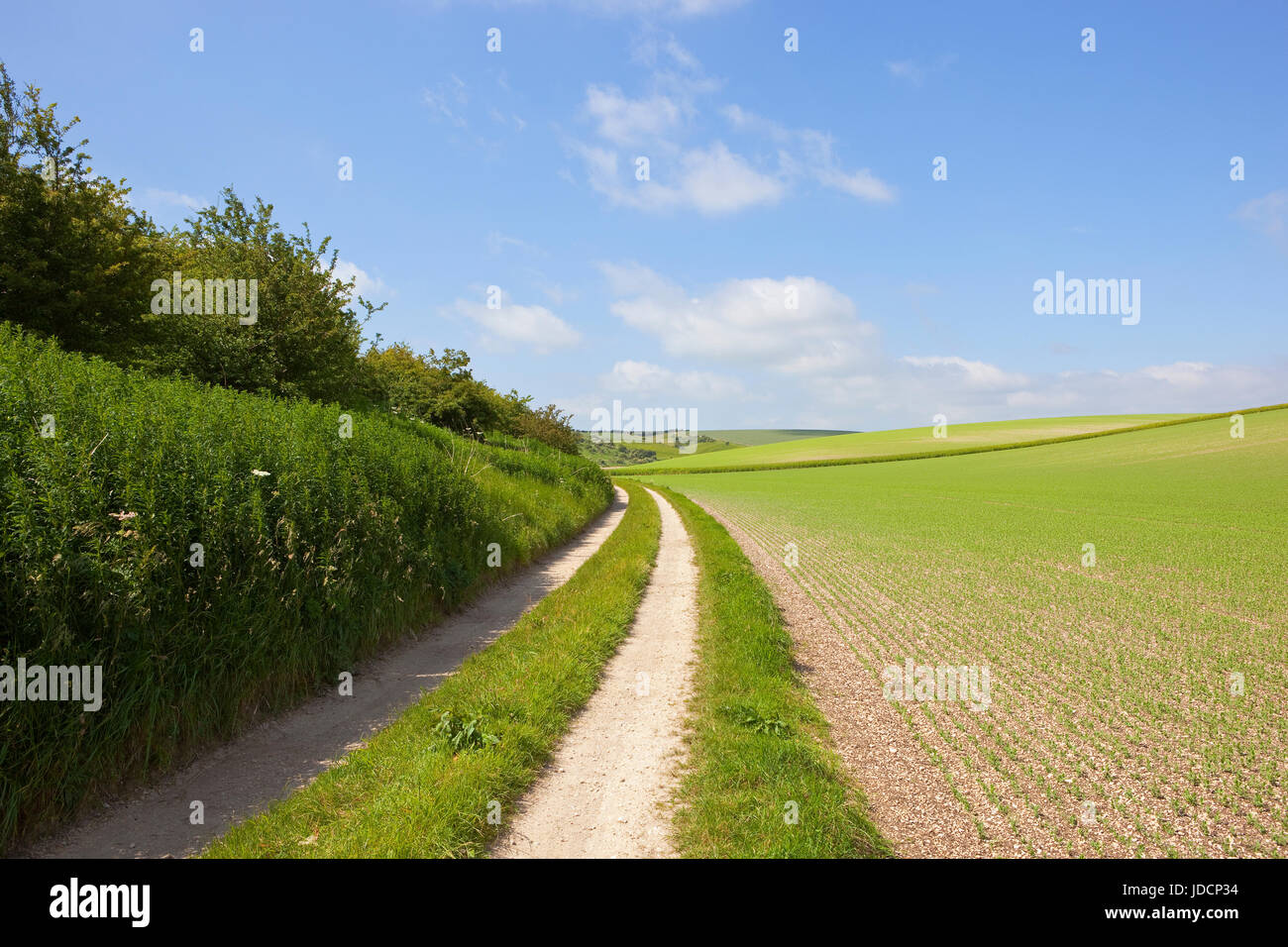 Un viaggio panoramico in fattoria la via a fianco di una collina e il segnale di PEA raccolto sul terreno calcareo nel yorkshire wolds sotto un cielo blu in estate Foto Stock