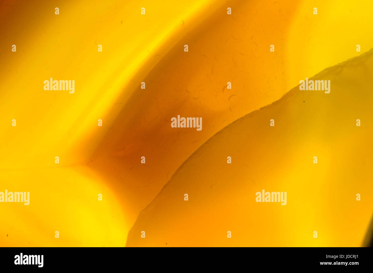 Dettaglio di agata Foto Stock