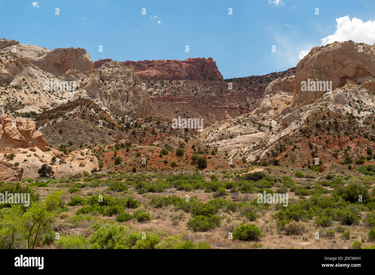 La parte anteriore del Waterpocket Fold a Capitol Reef National Park nello Utah. Foto Stock