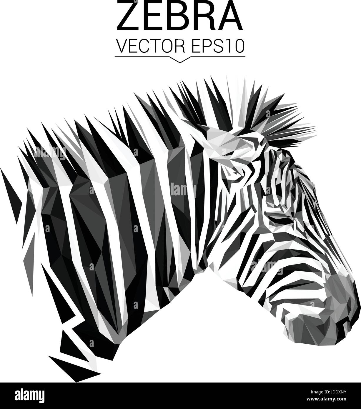 Zebra bassa animale poli design. Illustrazione Vettoriale