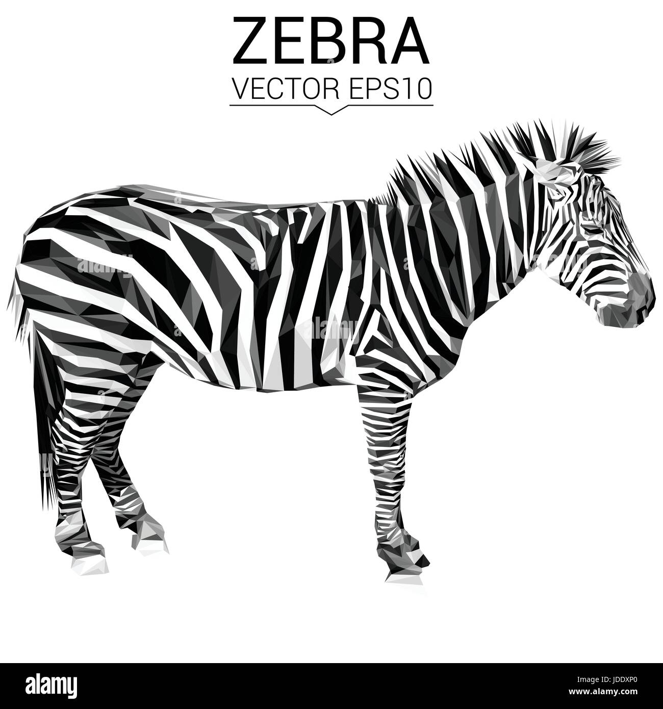 Zebra bassa animale poli design. Illustrazione Vettoriale