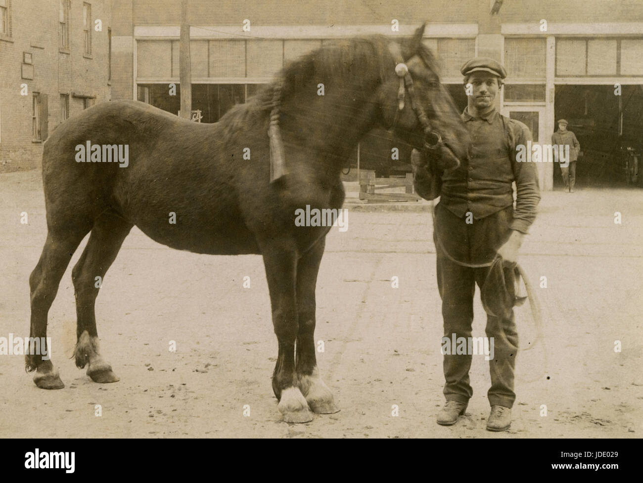 Antique c1910 la fotografia del lavoratore con cavallo nella parte anteriore della Buick Motor Company. La posizione è probabilmente Mankato, Minnesota. Fonte: fotografia originale. Foto Stock