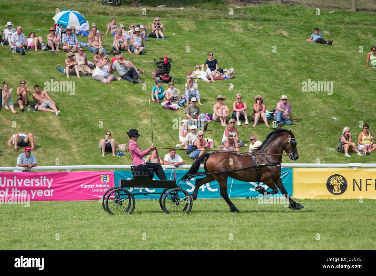 Un display durante il Royal Welsh Show 2016 presso il Royal Welsh Showground, Llanelwedd, Builth Wells, Powys, Wales, Regno Unito, 19 luglio 2016. Foto Stock