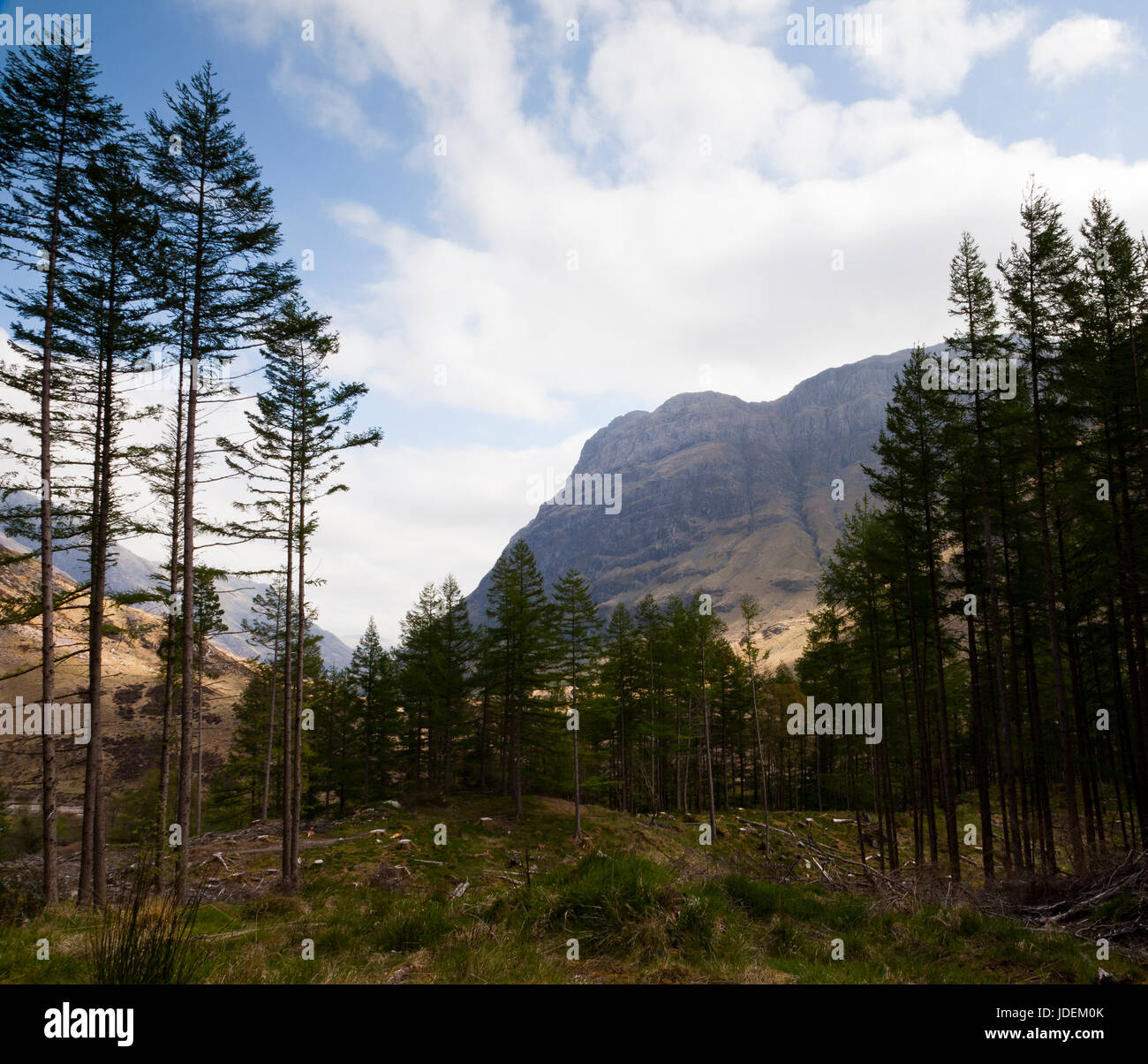 Il disboscamento e il paesaggio di montagna. Glencoe, Scotland, Regno Unito Foto Stock