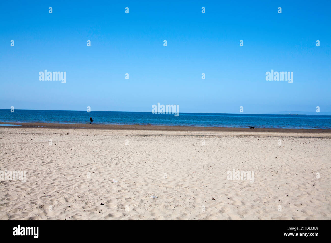 La spiaggia a Troon Ayrshire in Scozia su una tranquilla mattina di primavera Troon Scozia Scotland Foto Stock