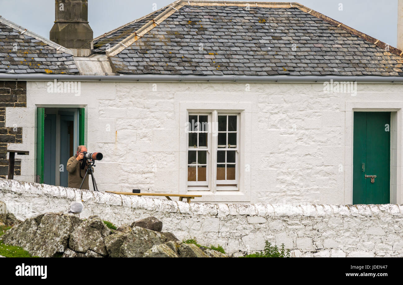 Wildlife Photographer con la fotocamera sul cavalletto e lungo la lente, la luce bassa osservatorio ornitologico, Isola di maggio, Firth of Forth, Scotland, Regno Unito Foto Stock