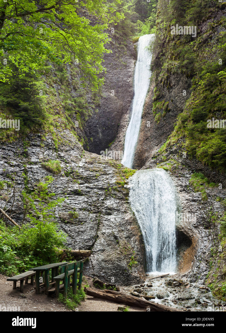 Bella cascata in natura, Carpazi romeni Foto Stock