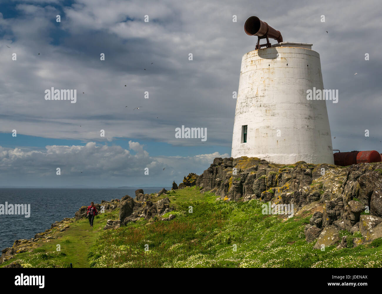 Bianco edificio rotondo struttura con grande sirena antinebbia, Isola di maggio, Firth of Forth, Scotland, Regno Unito Foto Stock