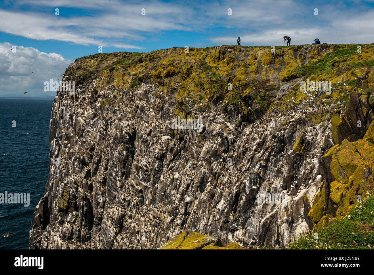 Natura fotografi in alta rupe con telecamere e treppiede, Isola di maggio del Firth of Forth, Scotland, Regno Unito Foto Stock
