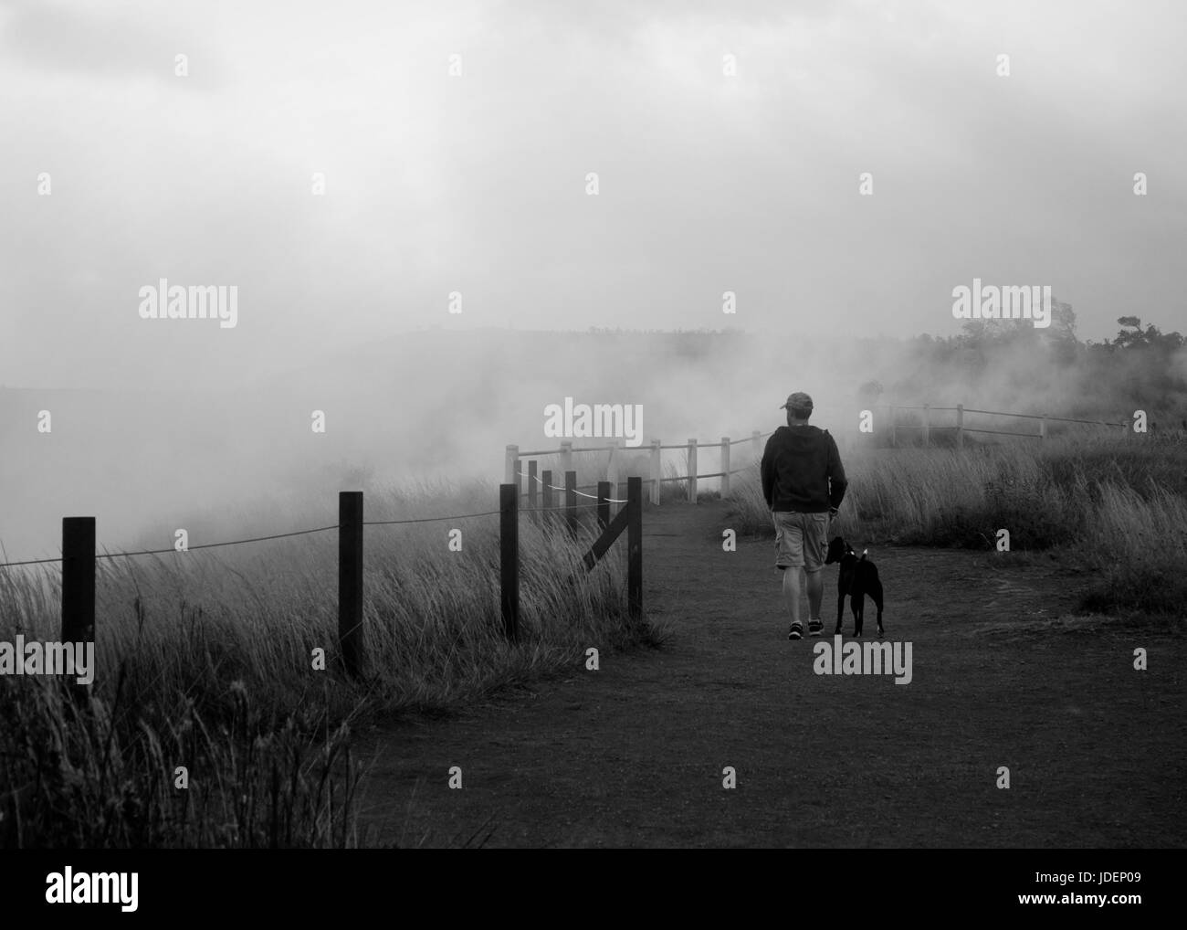 Un uomo solitario a piedi il suo cane su un nebbioso giorno Foto Stock