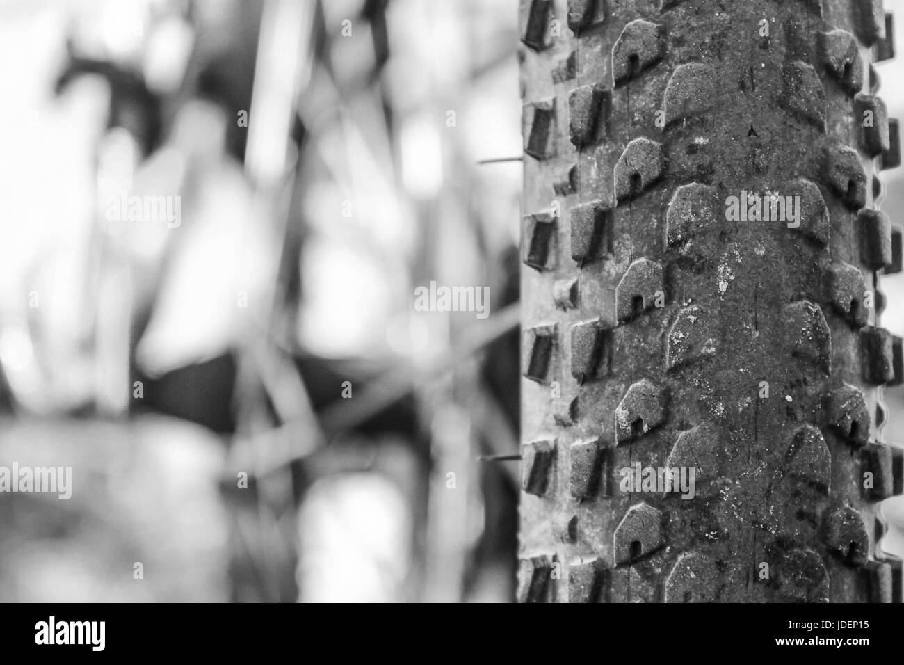 Una chiusura di un pneumatico di una bicicletta Foto Stock