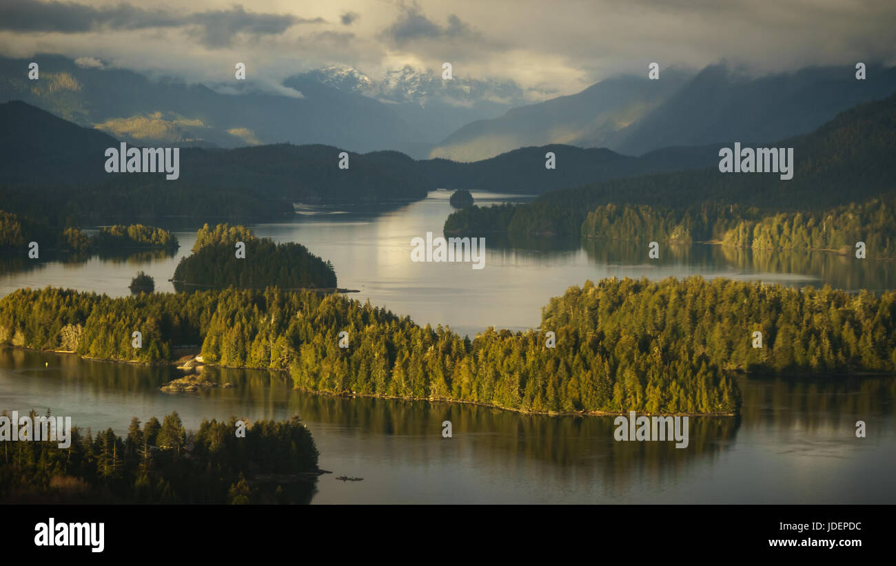 Bella luce sui suoni Clayoquot vicino a Tofino, British Columbia Foto Stock