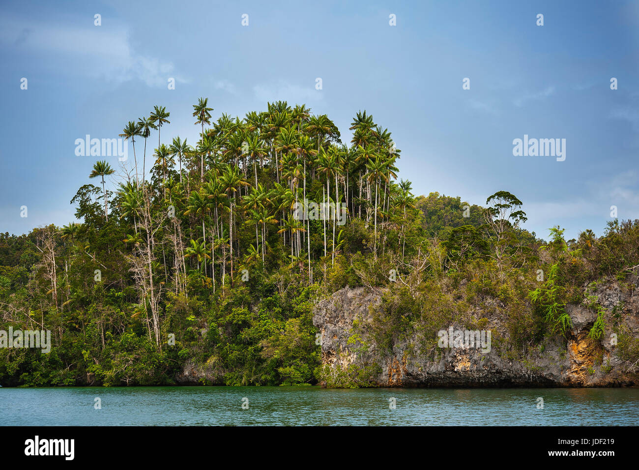 Boscoso scogliere calcaree, Gam, Dampier Strait Raja Ampat, Nuova Guinea occidentale, in Indonesia Foto Stock