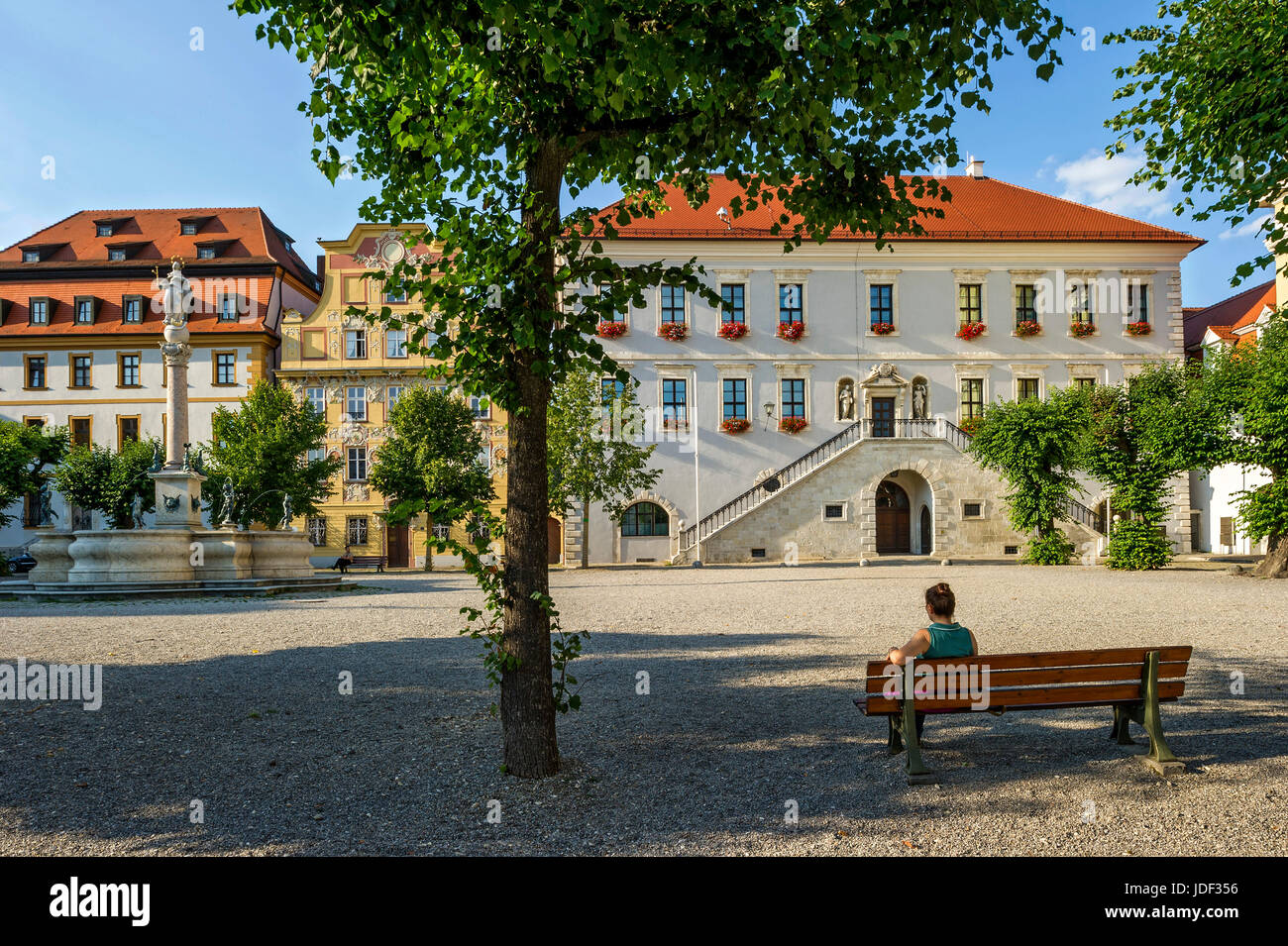 Zieglerhaus, Marienbrunnen, aristocratica town house Thurn- e Taxishaus, Municipio, Karlsplatz, Neuburg sul Danubio Foto Stock