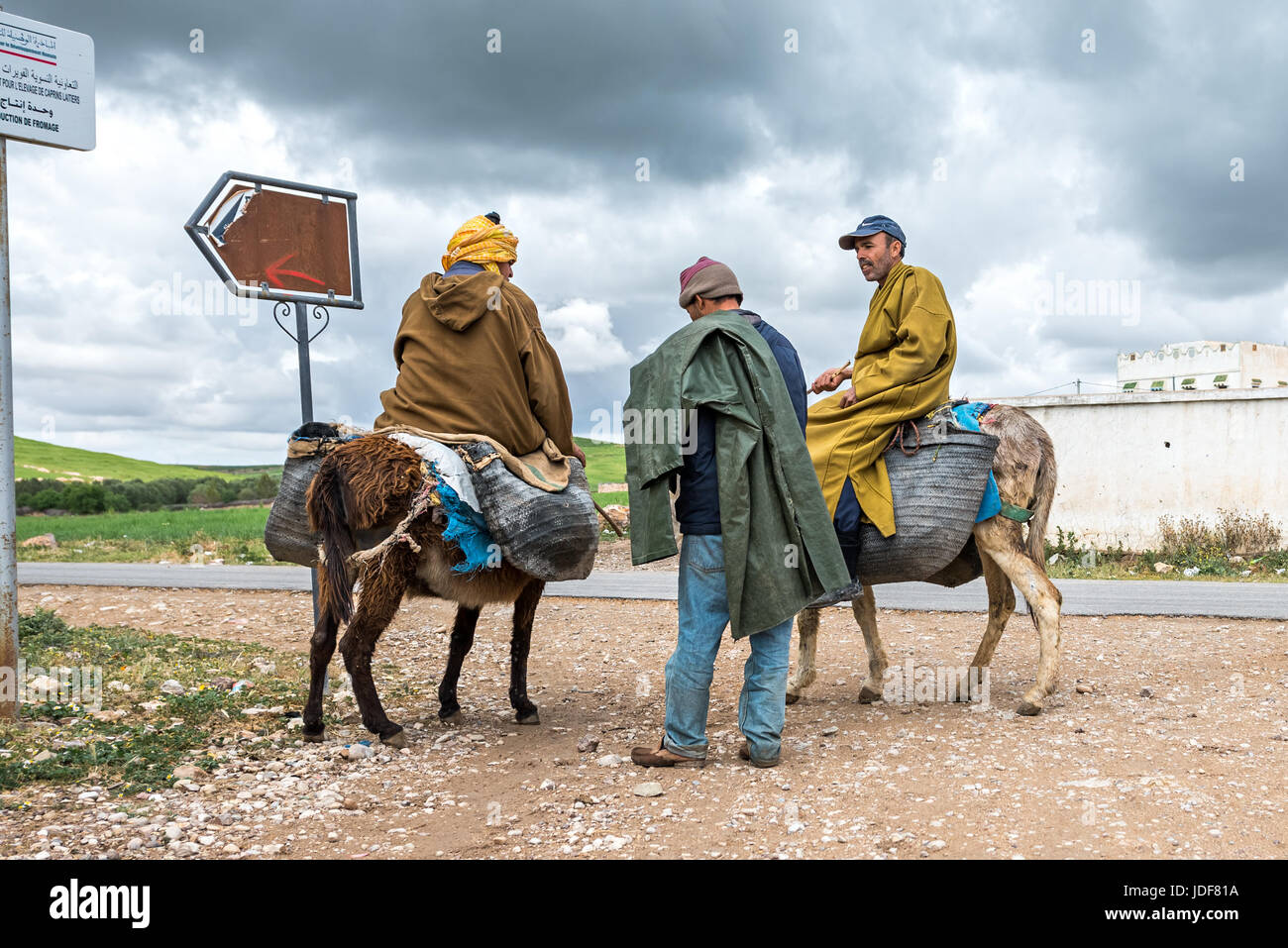 Tre uomini in paese marocchino asini di equitazione Foto Stock