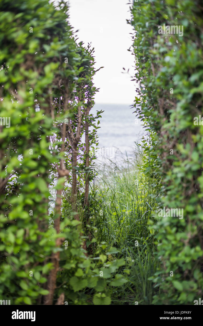 Cliff Walk affacciato sulla Baia di Easton Foto Stock