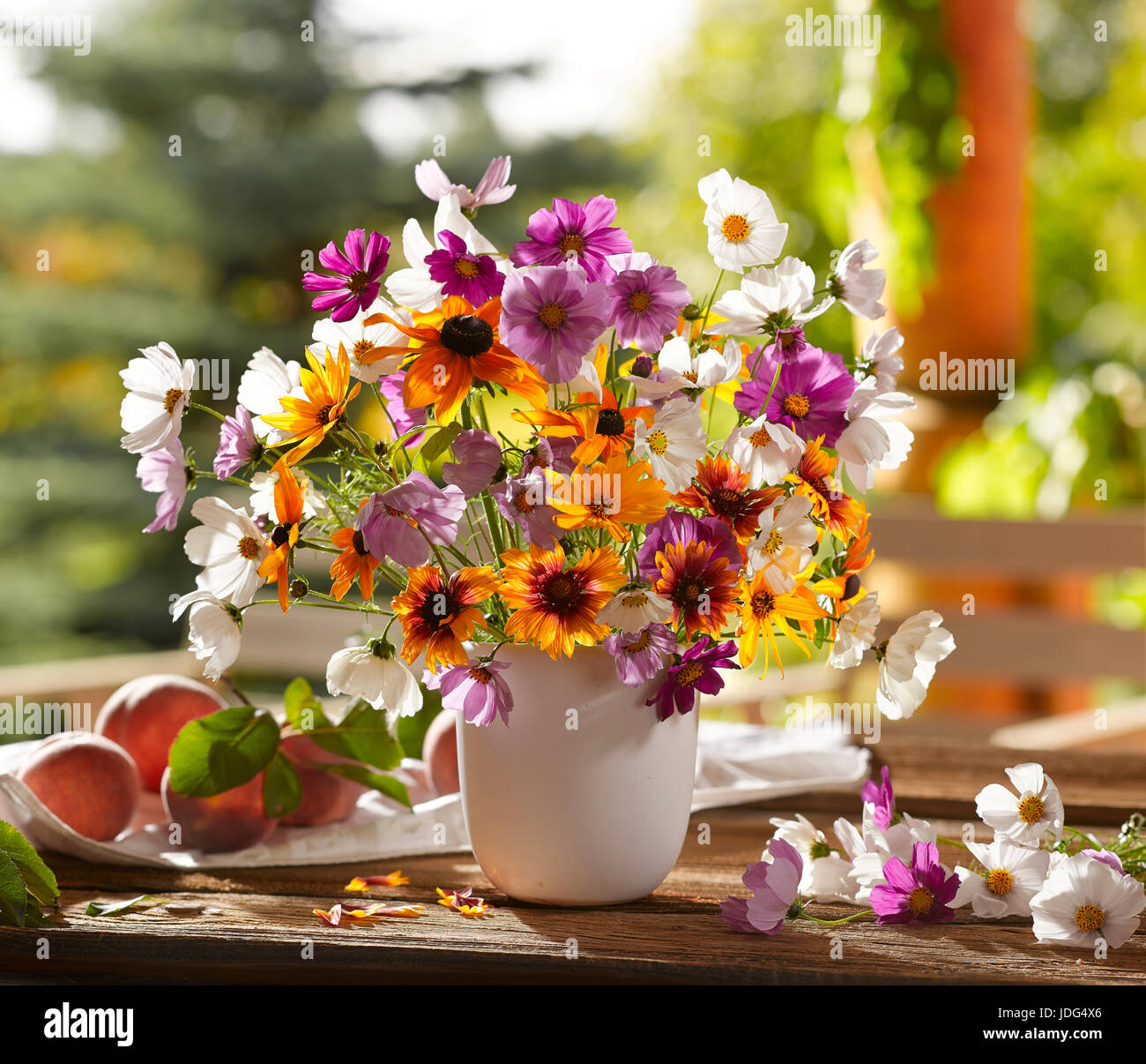 Bouquet di fiori con il cosmo. Foto Stock