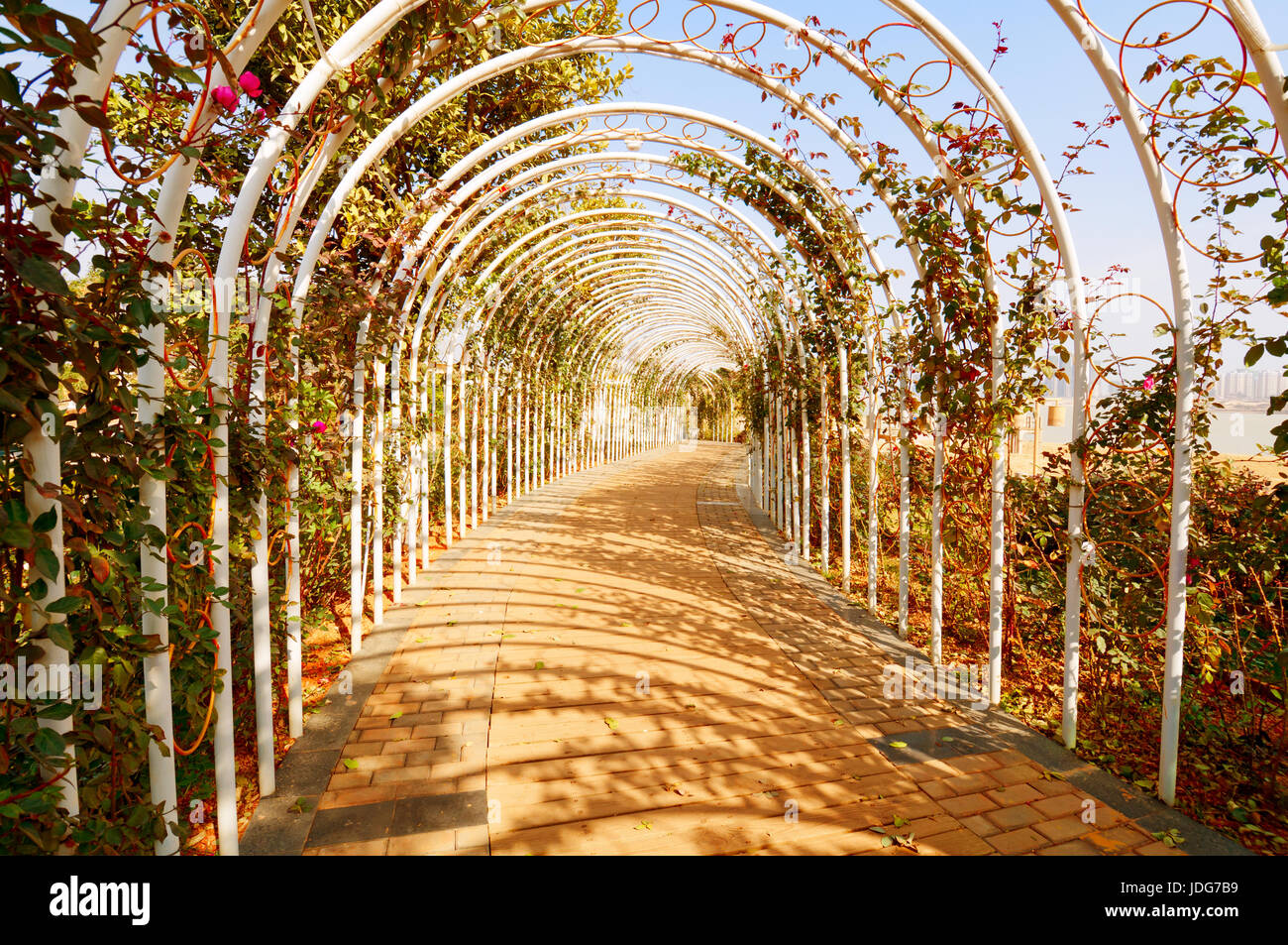 Corridoio con un metallo bianco giardino telaio Foto Stock