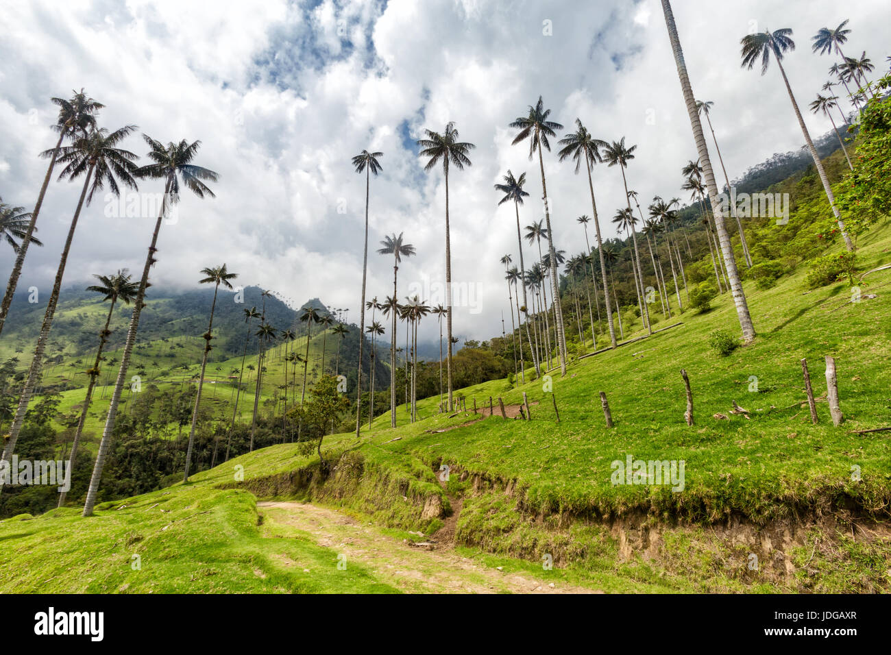 Un avvolgimento su strada verso il basso attraverso la valle Cocora nei pressi di Salento, Colombia. Foto Stock