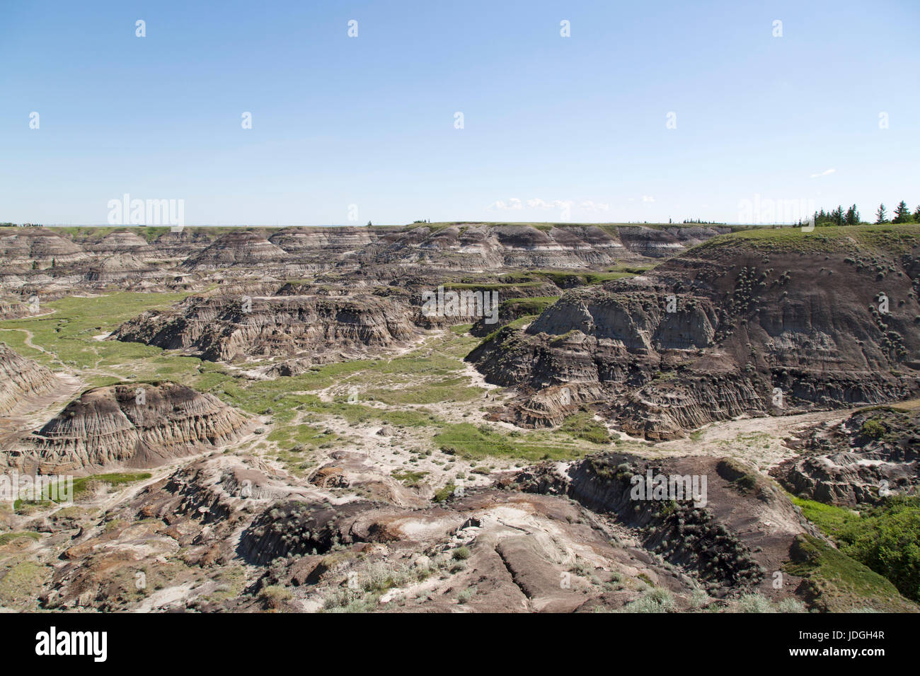 Horseshoe Canyon in Alberta, Canada. Il canyon, dove la stratificazione di roccia possono essere visto, è il Badlands. Foto Stock