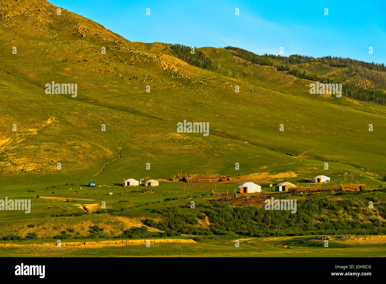 Yurta nel Patrimonio Mondiale dell Unesco paesaggio culturale della valle dell'Orkhon, Mongolia Foto Stock