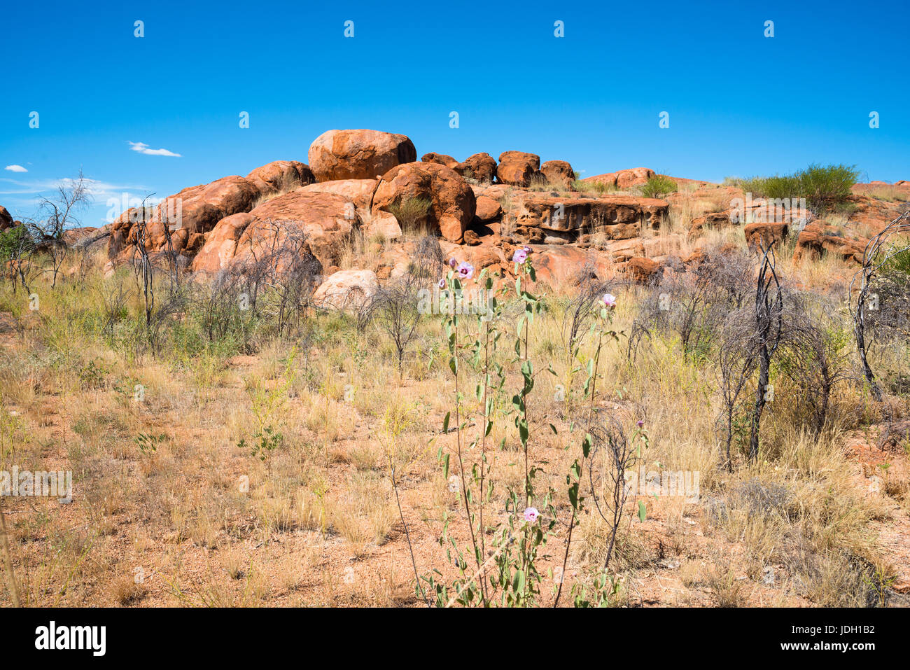 Devils Marmi - massi di granito rosso sono bilanciati su roccia, Australia, Territorio del Nord. Foto Stock