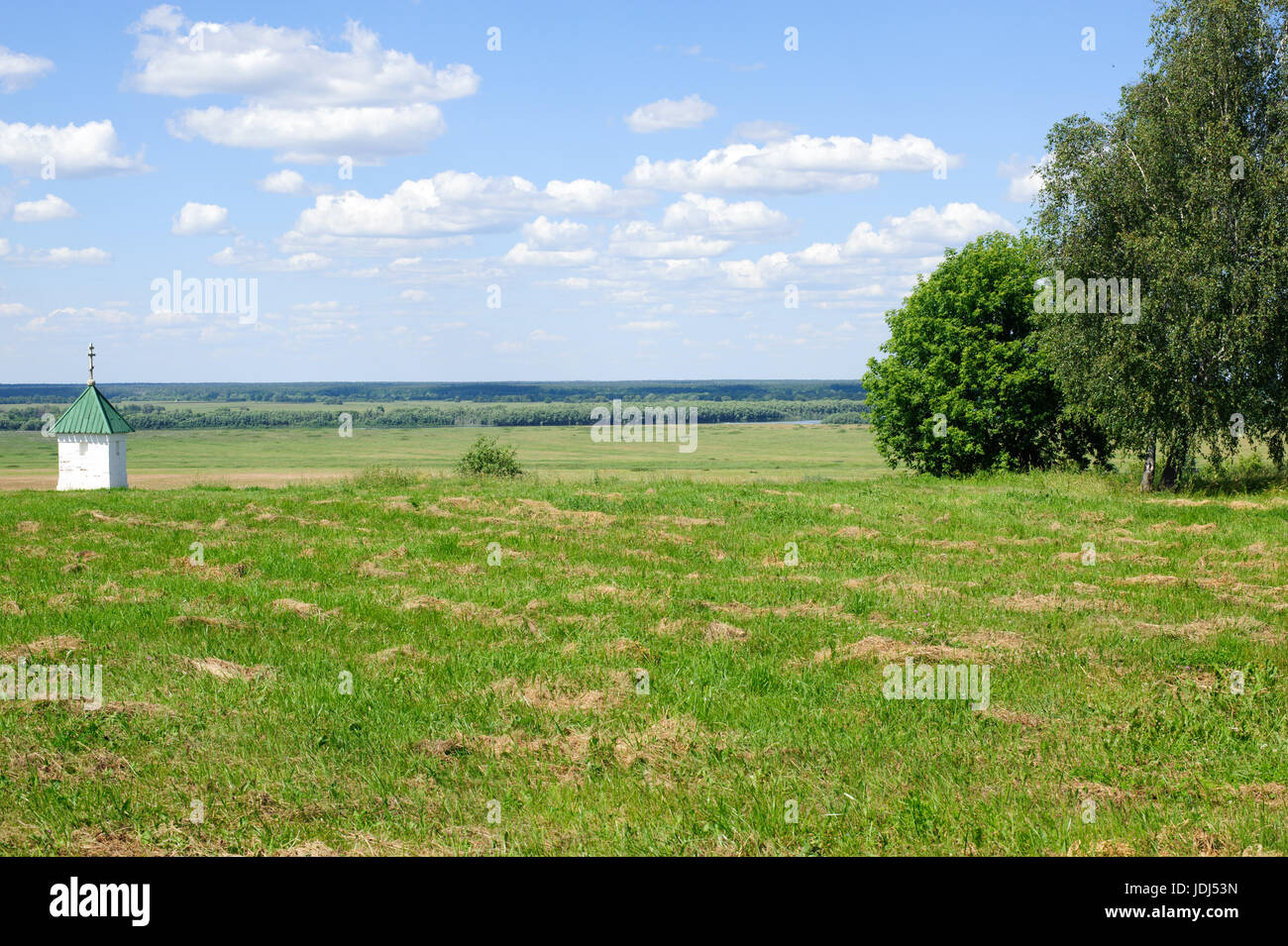 Vista su campagna vicino a Konstantinovo su una soleggiata giornata estiva, Ryazan, Russia Foto Stock