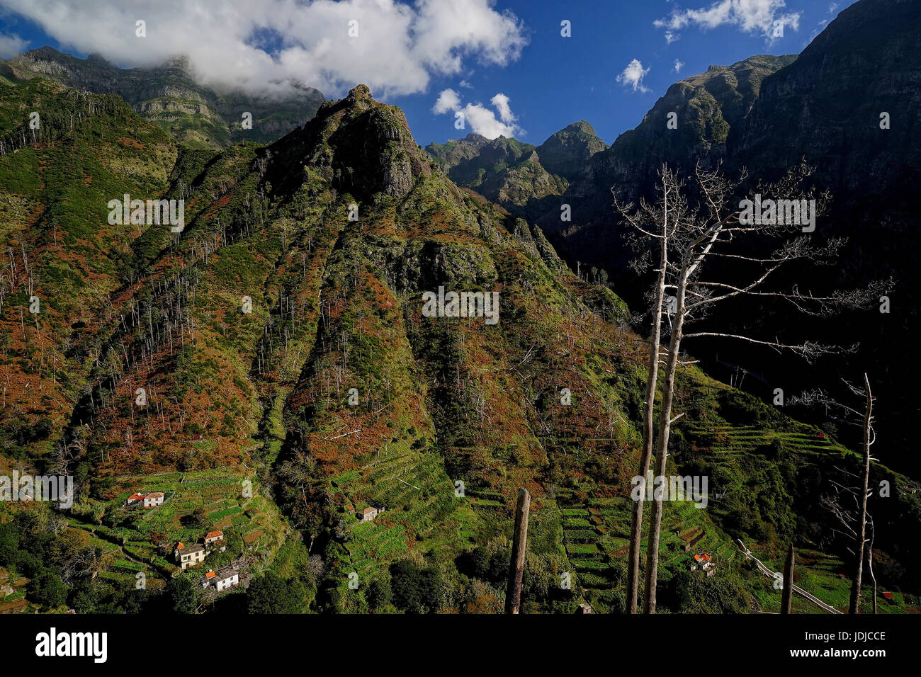 L'Europa, il Portogallo, la Madera e Azzorre, isola gruppo, isole, Encumeada, Europa, Azoren, Inselgruppe, Isole Foto Stock