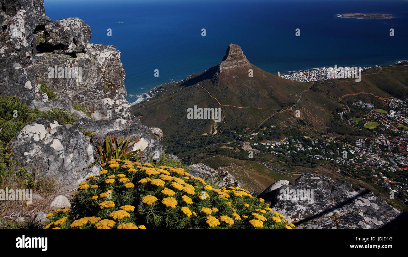 Sud Africa, Capetown, look della mesa, , Suedafrika, Kapstadt, Blick vom Tafelberg Foto Stock