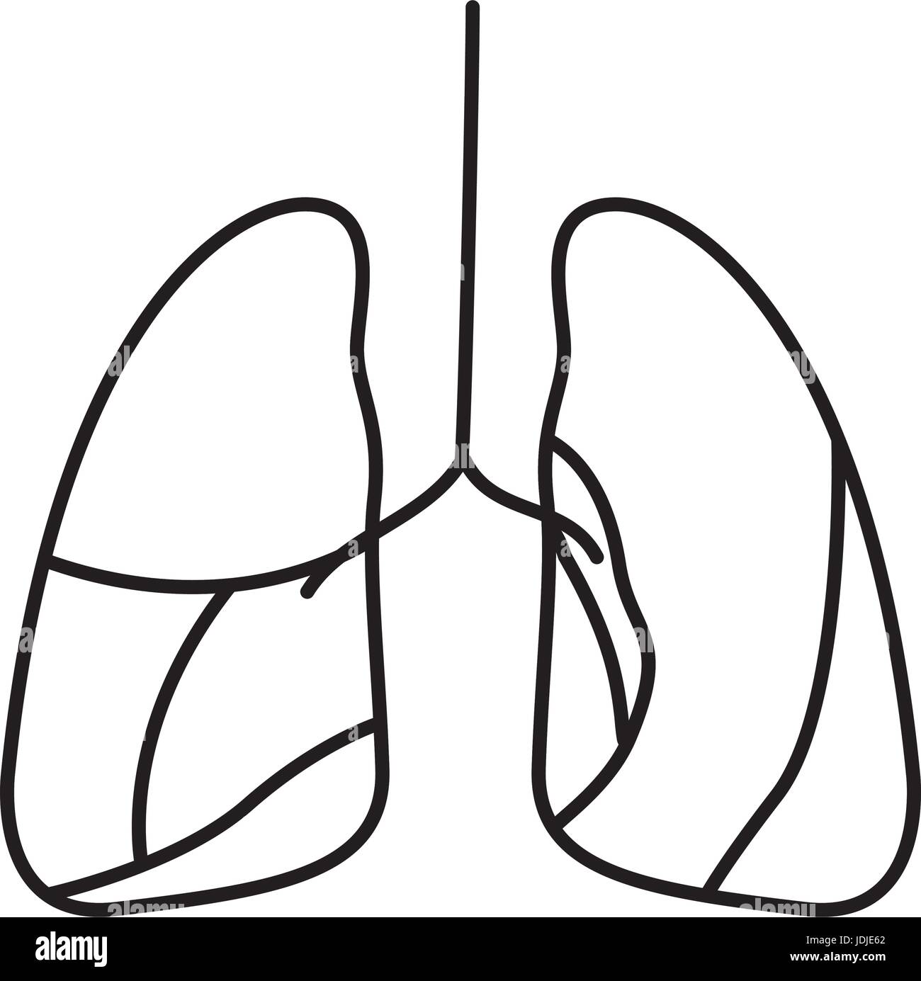 Disegno a mano il contorno del sistema respiratorio Illustrazione Vettoriale