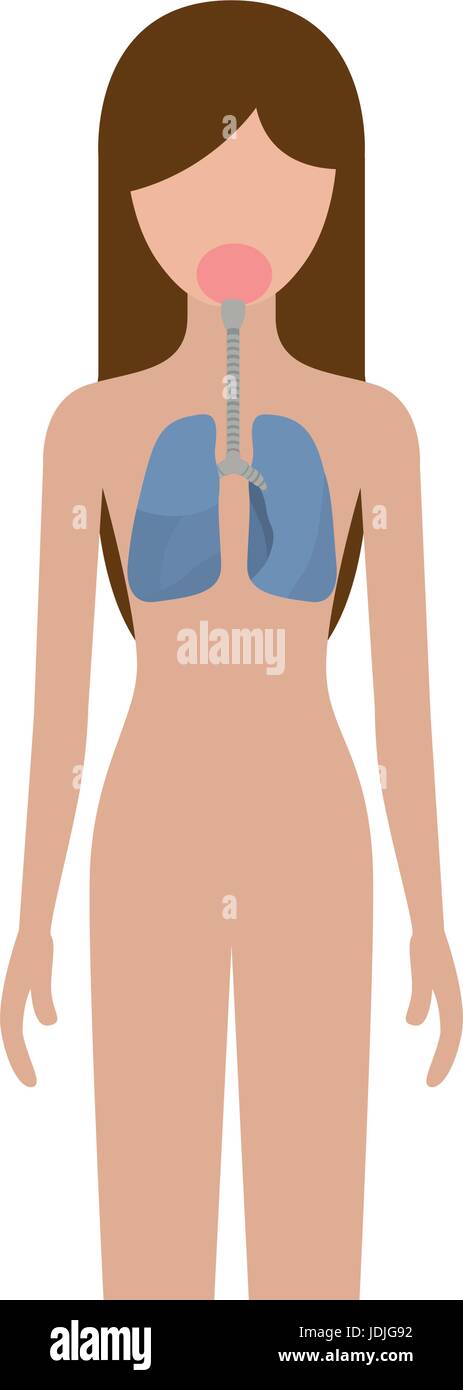 Silhouette colorato persona di sesso femminile con il sistema respiratorio del corpo umano Illustrazione Vettoriale