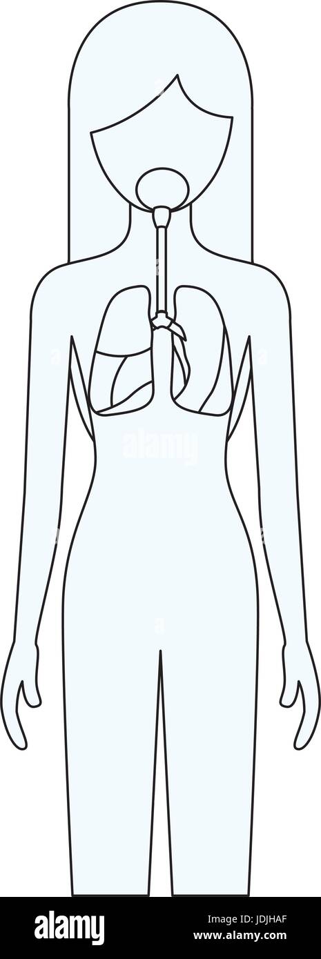 Disegna la silhouette della persona di sesso femminile con il sistema respiratorio del corpo umano Illustrazione Vettoriale