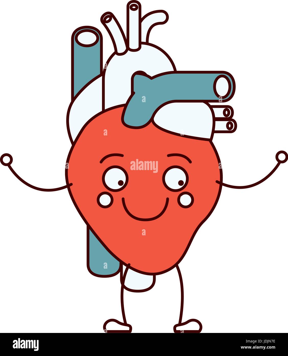 Sezioni di colore silhouette caricatura sistema circolatorio con cuore Illustrazione Vettoriale