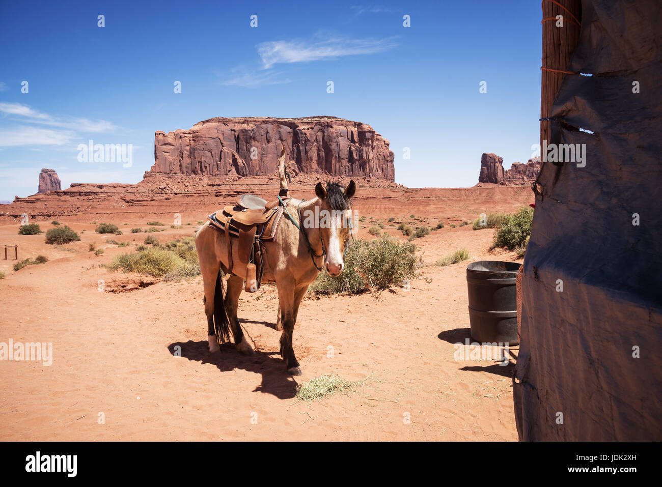 Poco cavallo per escursioni locali, Monument Valley, Utah, Stati Uniti d'America Foto Stock