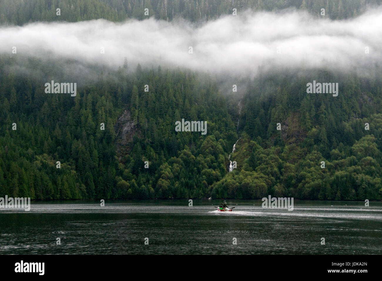 I turisti in un motoscafo prendendo parte ad un orso ecotour visualizzazione in grande orso nella foresta pluviale, British Columbia, Canada. Foto Stock