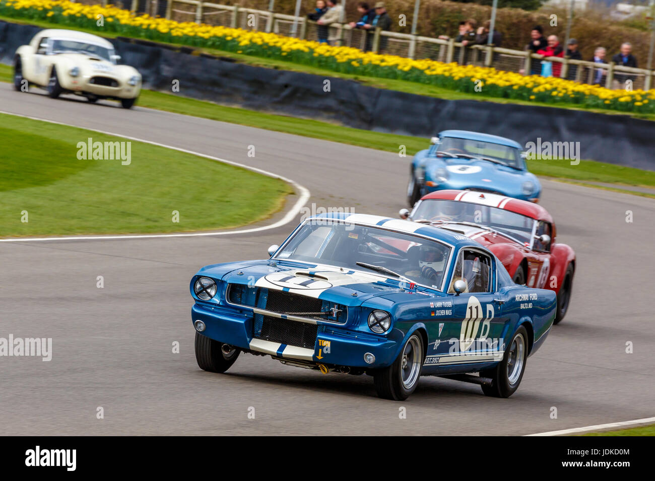 1965 Ford Mustang Shelby GT350 con autista Jochen Mass durante la Graham Hill Trophy gara a Goodwood GRRC LXXV Assemblea dei Soci, Sussex, Regno Unito. Foto Stock