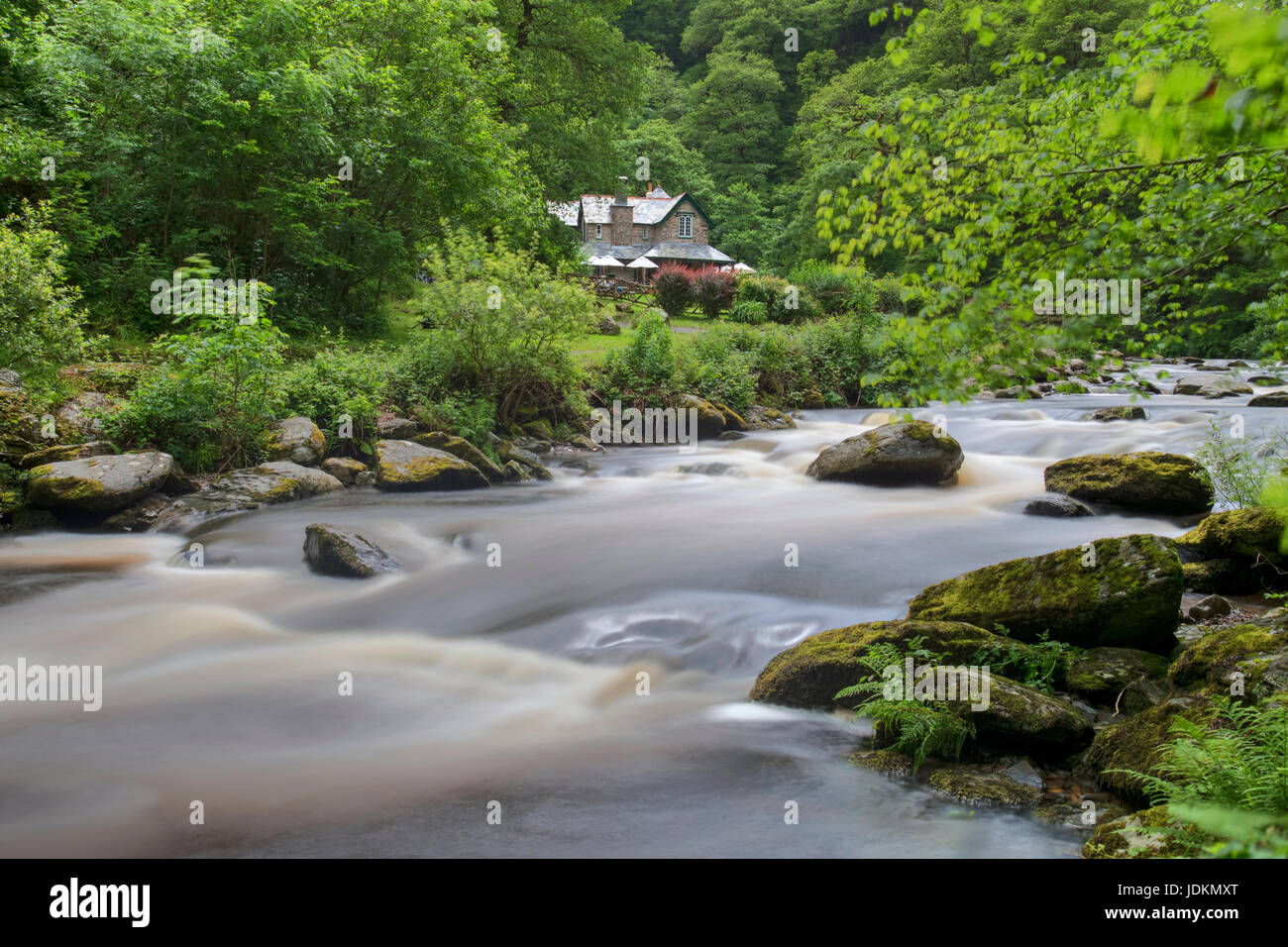 Watersmeet House, Exmoor, Lynmouth, Devon, Inghilterra, Regno Unito Foto Stock
