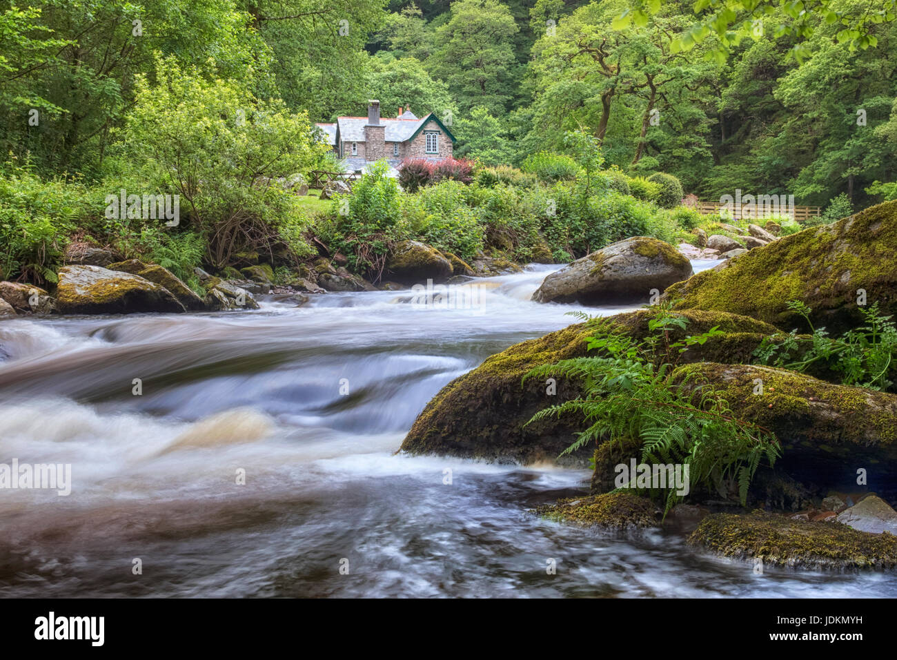 Watersmeet House, Exmoor, Lynmouth, Devon, Inghilterra, Regno Unito Foto Stock