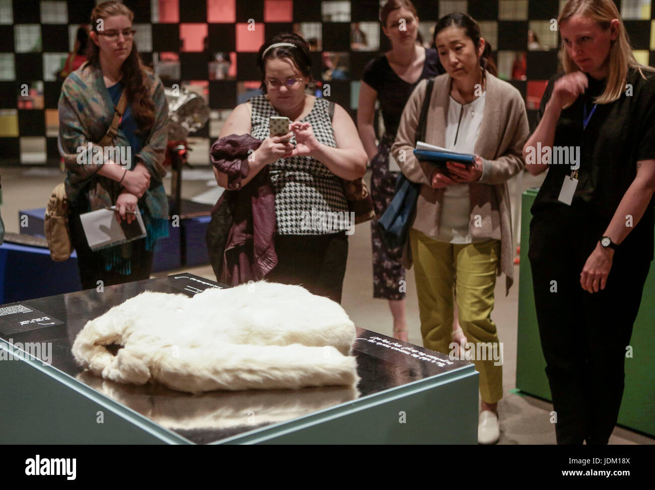 Vancouver, Canada. Xx Giugno, 2017. Visitatori guardare un bambino's cat pelliccia che era un abito popolare negli anni trenta, in mostra presso il Museo di Vancouver a Vancouver, Canada, 20 giugno 2017. Nel celebrare il Canada il centocinquantesimo anniversario, il Museo di Vancouver ha ospitato una mostra con vari artefatti iconico con fatti e storie legate alla storia della città. Credito: Liang Sen/Xinhua/Alamy Live News Foto Stock
