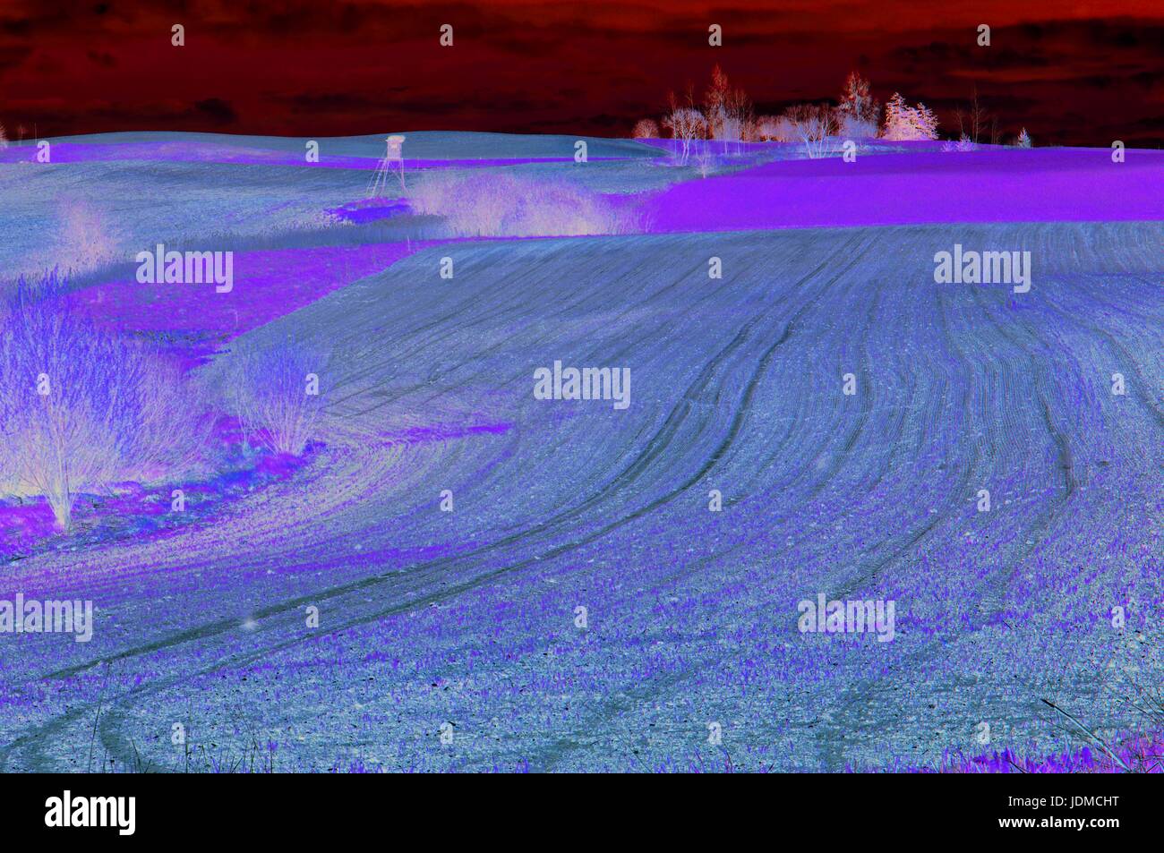 Paesaggio, campo arato in primavera per la coltivazione di colture e l'agricoltura Foto Stock