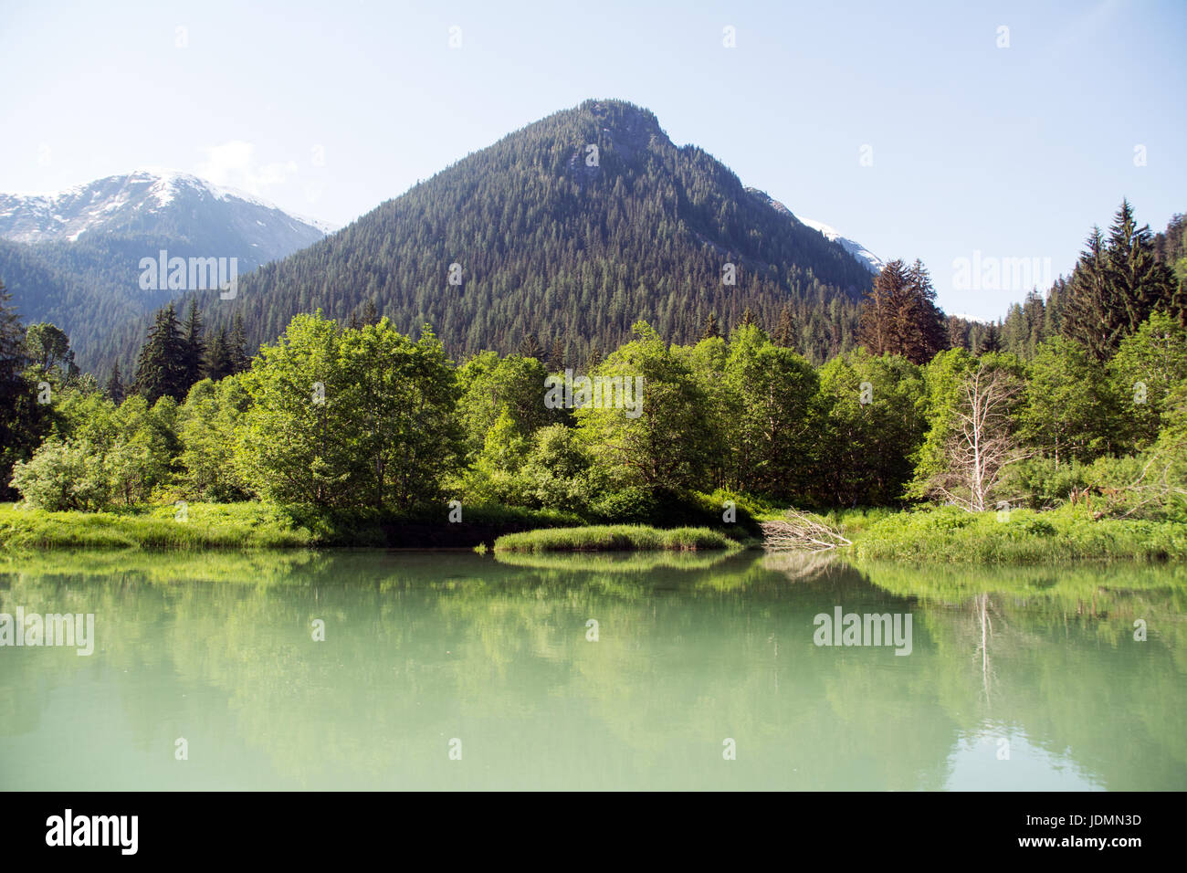 Le acque calme di un estuario del Pacifico nel patrimonio Kitlope Conservancy nel grande orso regione della foresta pluviale, British Columbia, Canada. Foto Stock