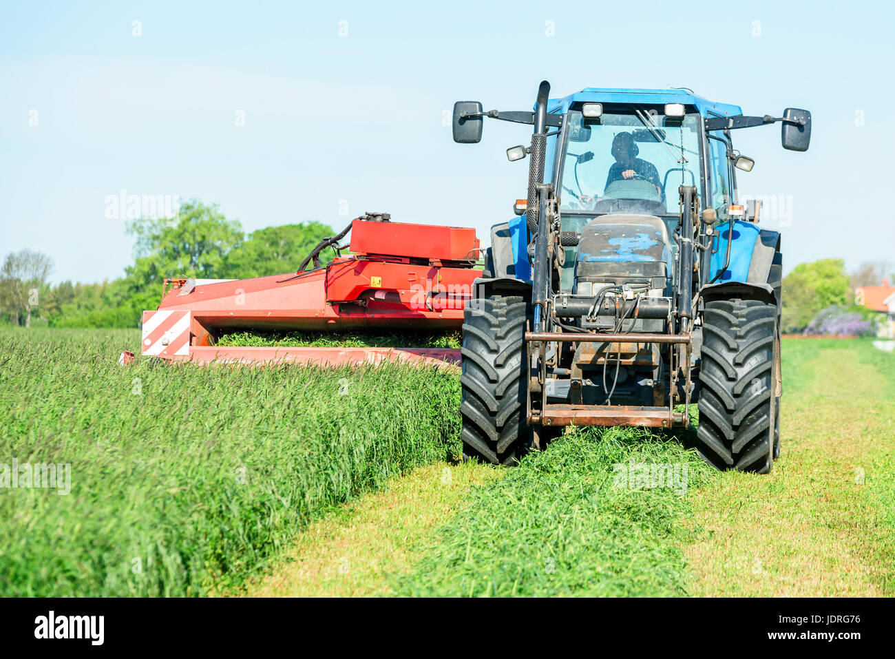 Trattore con fieno tosaerba per taglio di erba per fieno su un campo. Foto Stock